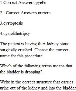 Chapter 6 Assignment